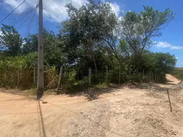 Terreno / Lote para Venda em Tibau do Sul/RN Pipa