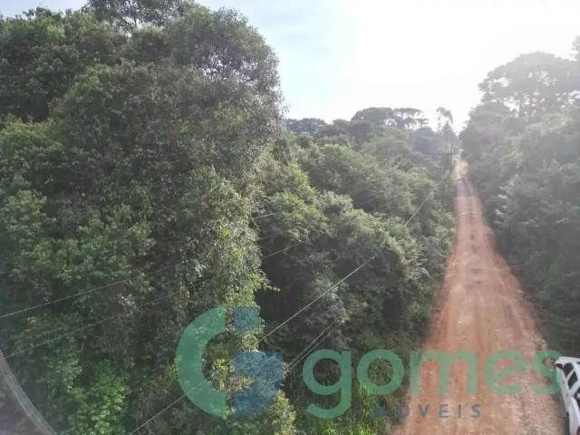 Terreno / Lote para Venda em Tijucas do Sul/PR Campo Alto