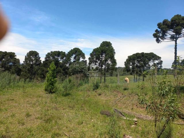 Terreno / Lote para Venda em Tijucas do Sul/PR Campo Alto