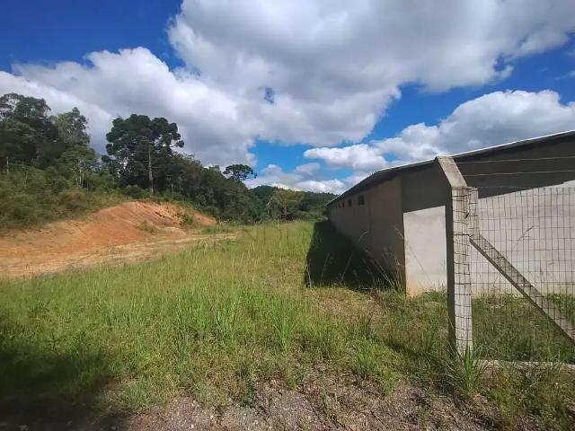 Terreno / Lote para Venda em Tijucas do Sul/PR Centro