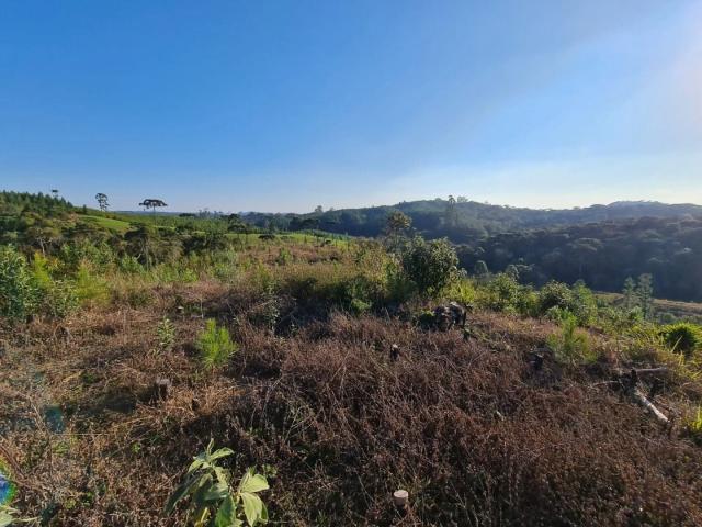 Terreno / Lote para Venda em Tijucas do Sul/PR Centro