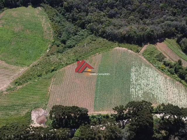 Terreno / Lote para Venda em Tijucas do Sul/PR Pinhal dos Borges