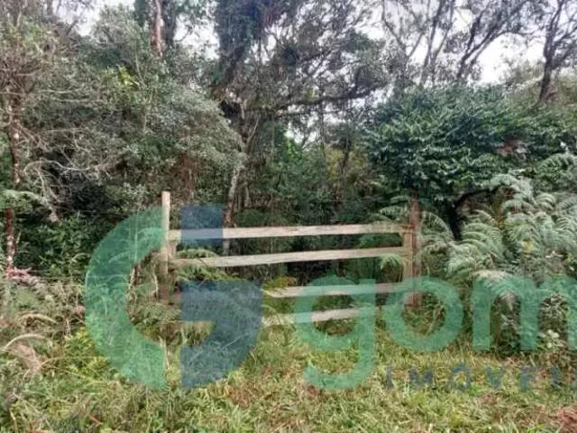 Terreno / Lote para Venda em Tijucas do Sul/PR São João do Piraí
