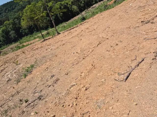 Terreno / Lote para Venda em Tijucas do Sul/PR Saltinho