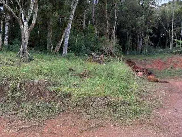 Terreno / Lote para Venda em Tijucas do Sul/PR Vila Cubas