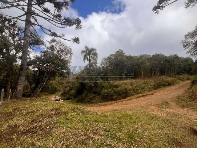 Terreno / Lote para Venda em Tijucas do Sul/PR Vossoroca
