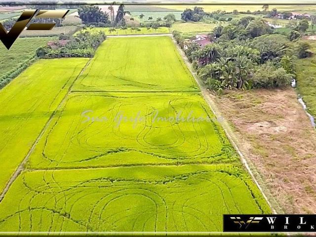 Terreno / Lote para Venda em Tijucas/SC Centro