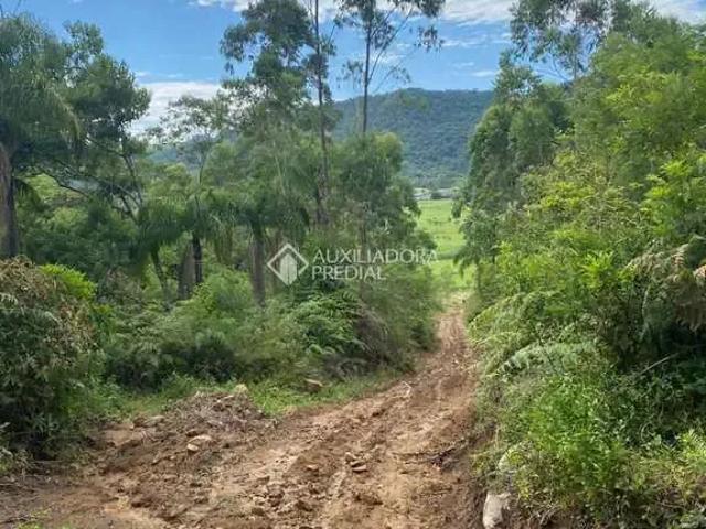 Terreno / Lote para Venda em Tijucas/SC Área Rural de Tijucas