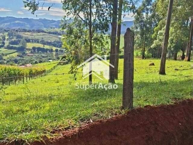 Terreno / Lote para Venda em Toledo/MG Centro