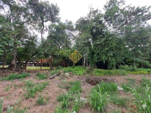 Terreno / Lote para Venda em Toledo/PR Vila Industrial
