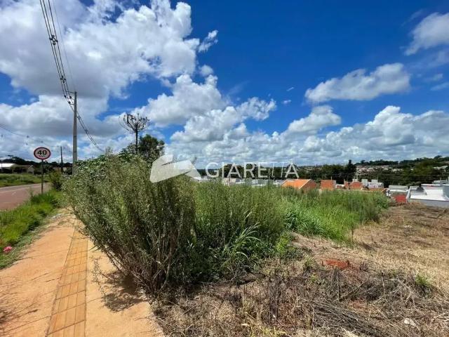 Terreno / Lote para Venda em Toledo/PR Vila Pioneiro