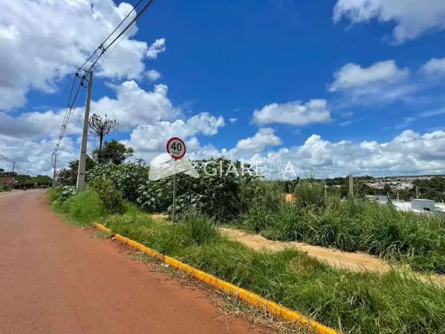 Terreno / Lote para Venda em Toledo/PR Vila Pioneiro
