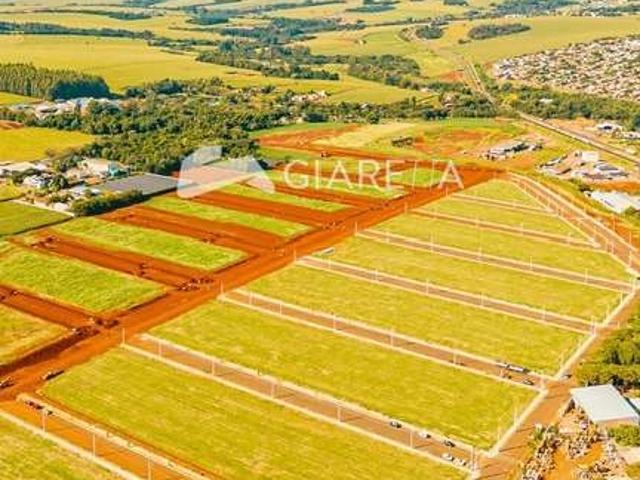 Terreno / Lote para Venda em Toledo/PR Independência