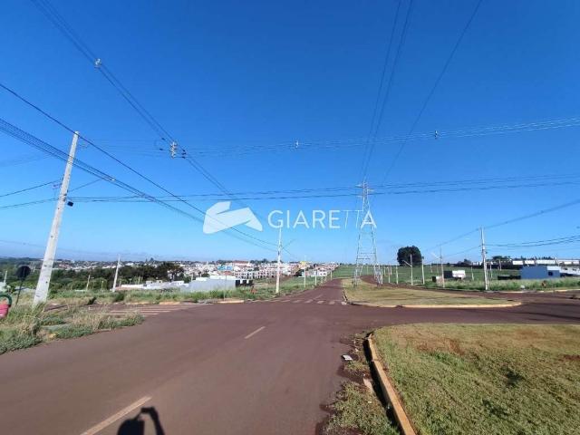 Terreno / Lote para Venda em Toledo/PR Jardim Panorama