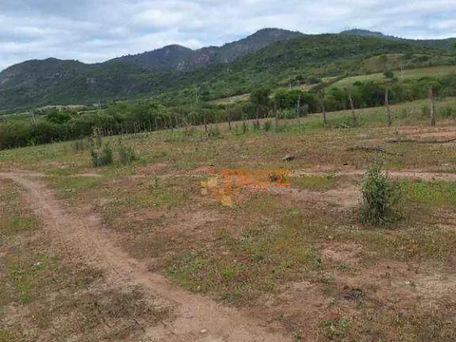 Terreno / Lote para Venda em Toritama/PE Centro
