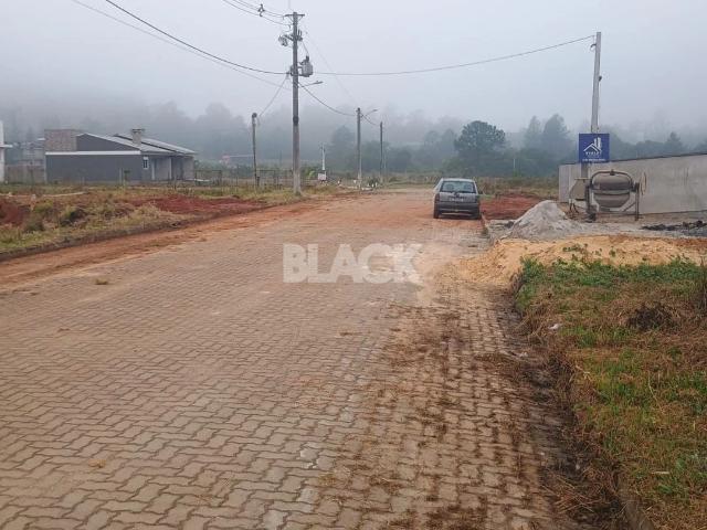 Terreno / Lote para Venda em Torres/RS Vila São João