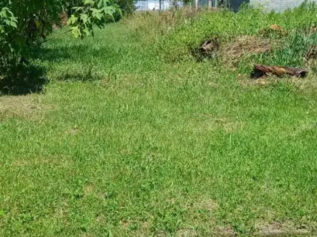 Terreno / Lote para Venda em Torres/RS Paraíso Distrito
