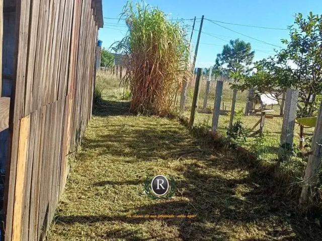 Terreno / Lote para Venda em Torres/RS Praia Real