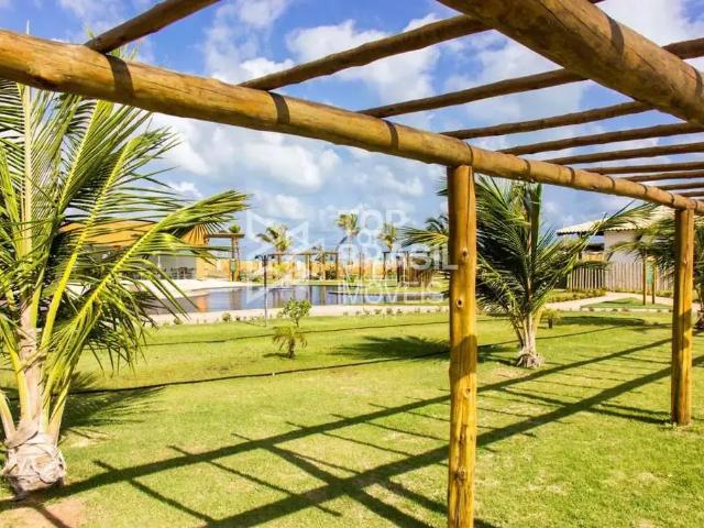 Terreno / Lote para Venda em Touros/RN Distrito Monte Alegre