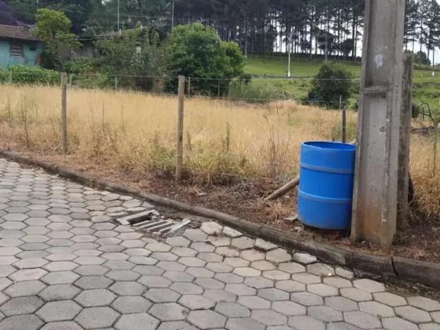 Terreno / Lote para Venda em Trombudo Central/SC Cidade Alta