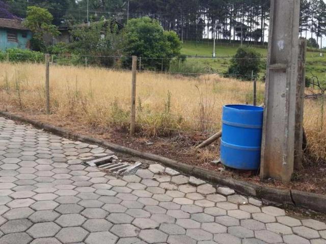 Terreno / Lote para Venda em Trombudo Central/SC Cidade Alta
