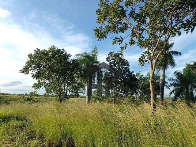 Terreno / Lote para Venda em Tracunhaém/PE Área Rural de Tracunhaém