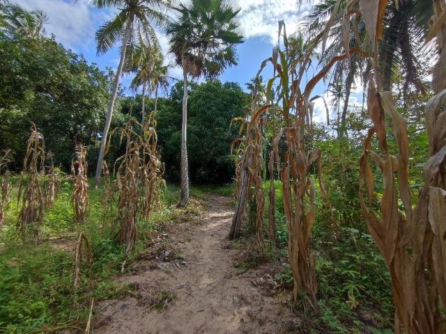 Terreno / Lote para Venda em Trairi/CE Centro