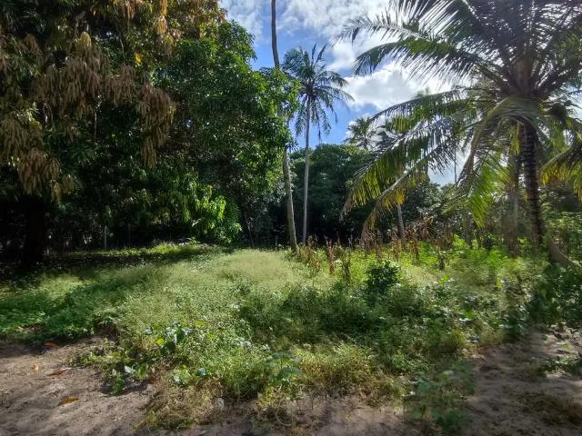 Terreno / Lote para Venda em Trairi/CE Centro