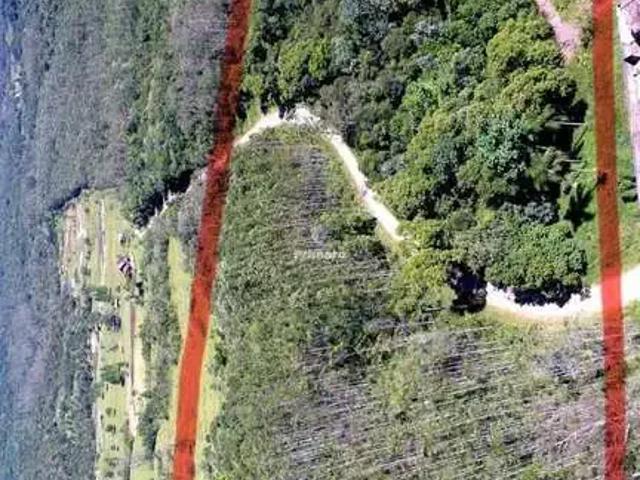 Terreno / Lote para Venda em Treviso/SC Zona Rural