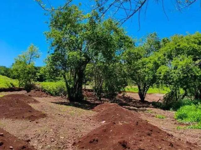 Terreno / Lote para Venda em Três Barras do Paraná/PR Area Rural