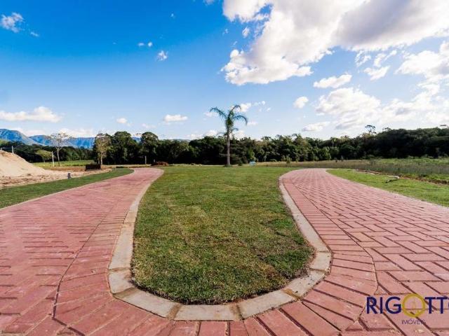 Terreno / Lote para Venda em Três Cachoeiras/RS Santa Rita