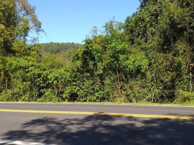 Terreno / Lote para Venda em Três Coroas/RS Sander