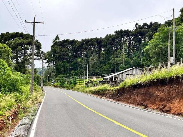 Terreno / Lote para Venda em Três Coroas/RS Serra Grande