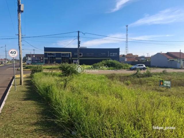 Terreno / Lote para Venda em Triunfo/RS Centro