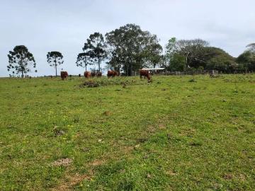 Terreno / Lote para Venda em Triunfo/RS Passo Fundo 4 Quartos