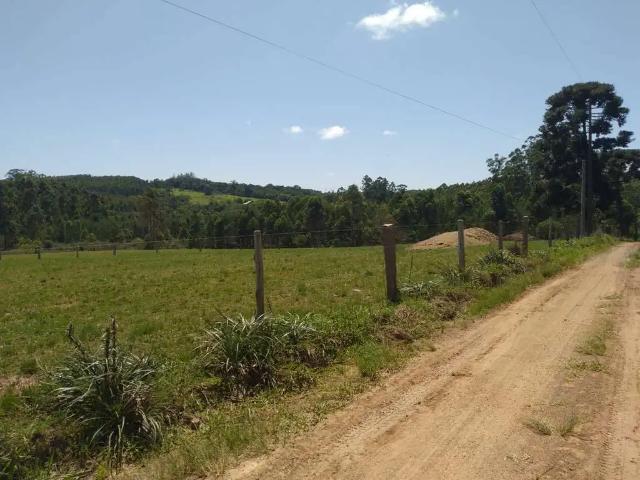 Terreno / Lote para Venda em Triunfo/RS Passo Fundo 4 Quartos
