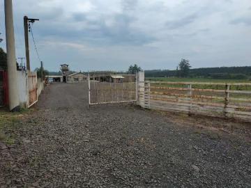 Terreno / Lote para Venda em Triunfo/RS Zona Rural 2 Quartos