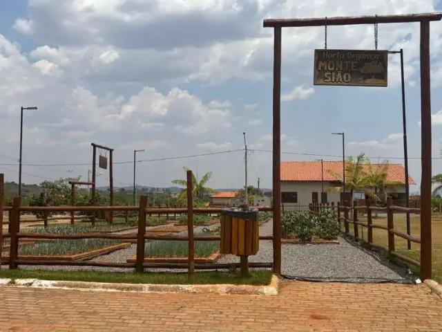 Terreno / Lote para Venda em Trindade/GO Centro