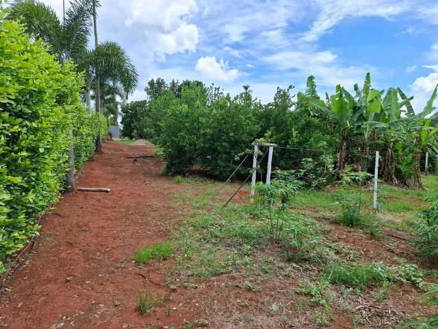 Terreno / Lote para Venda em Trindade/GO Residencial Solar São Francisco II