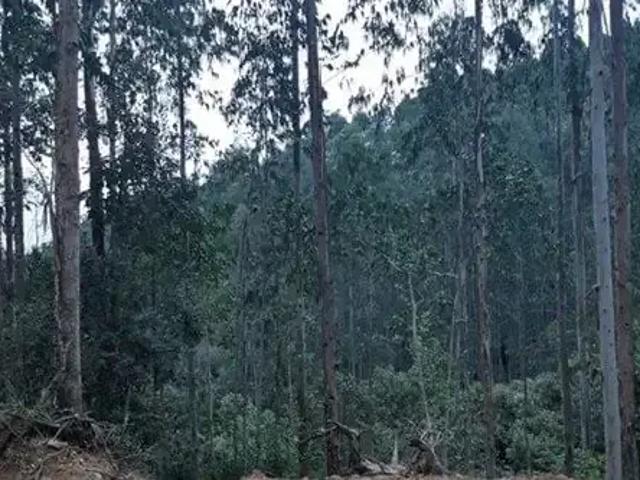 Terreno / Lote para Venda em Tunas do Paraná/PR Centro