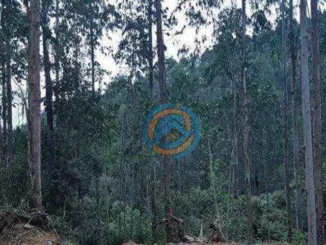 Terreno / Lote para Venda em Tunas do Paraná/PR Colonia João XXIII