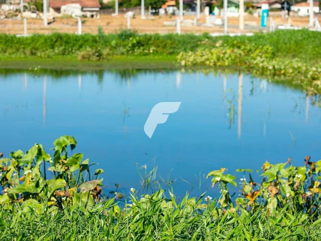 Terreno / Lote para Venda em Tubarão/SC Humaitá de Cima