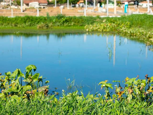 Terreno / Lote para Venda em Tubarão/SC Humaitá de Cima