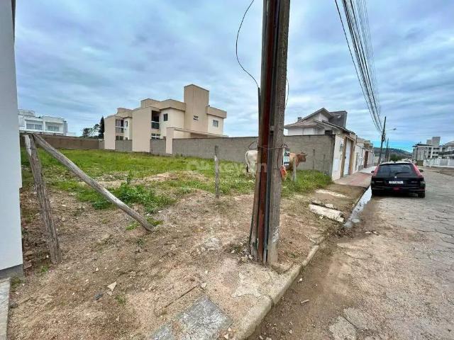 Terreno / Lote para Venda em Tubarão/SC Santo Antônio de Pádua