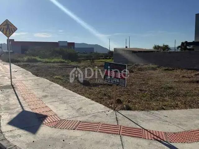 Terreno / Lote para Venda em Tubarão/SC Revoredo