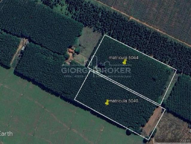 Terreno / Lote para Venda em Turiúba/SP Centro