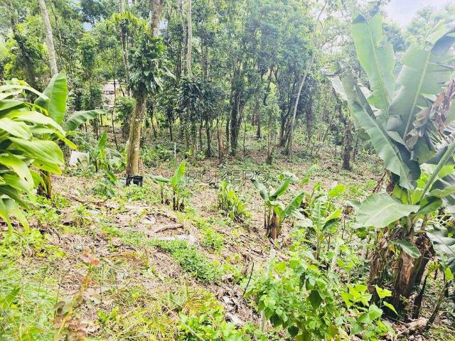 Terreno / Lote para Venda em Ubatuba/SP Corcovado