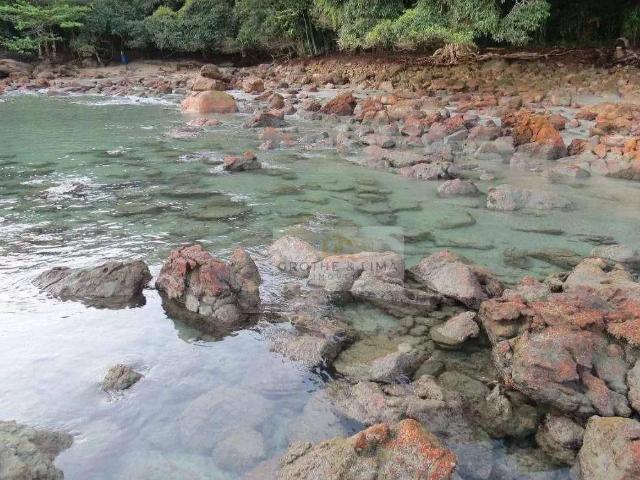 Terreno / Lote para Venda em Ubatuba/SP Acaraú