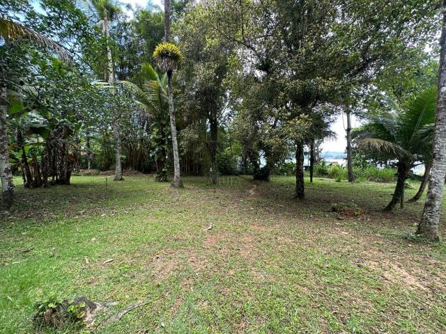 Terreno / Lote para Venda em Ubatuba/SP Enseada