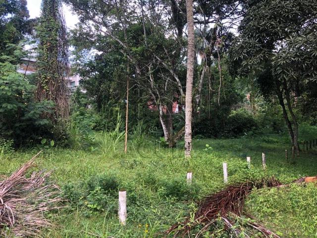 Terreno / Lote para Venda em Ubatuba/SP Enseada